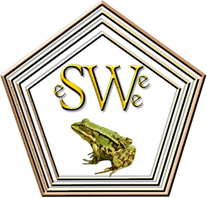 LOGO-SW